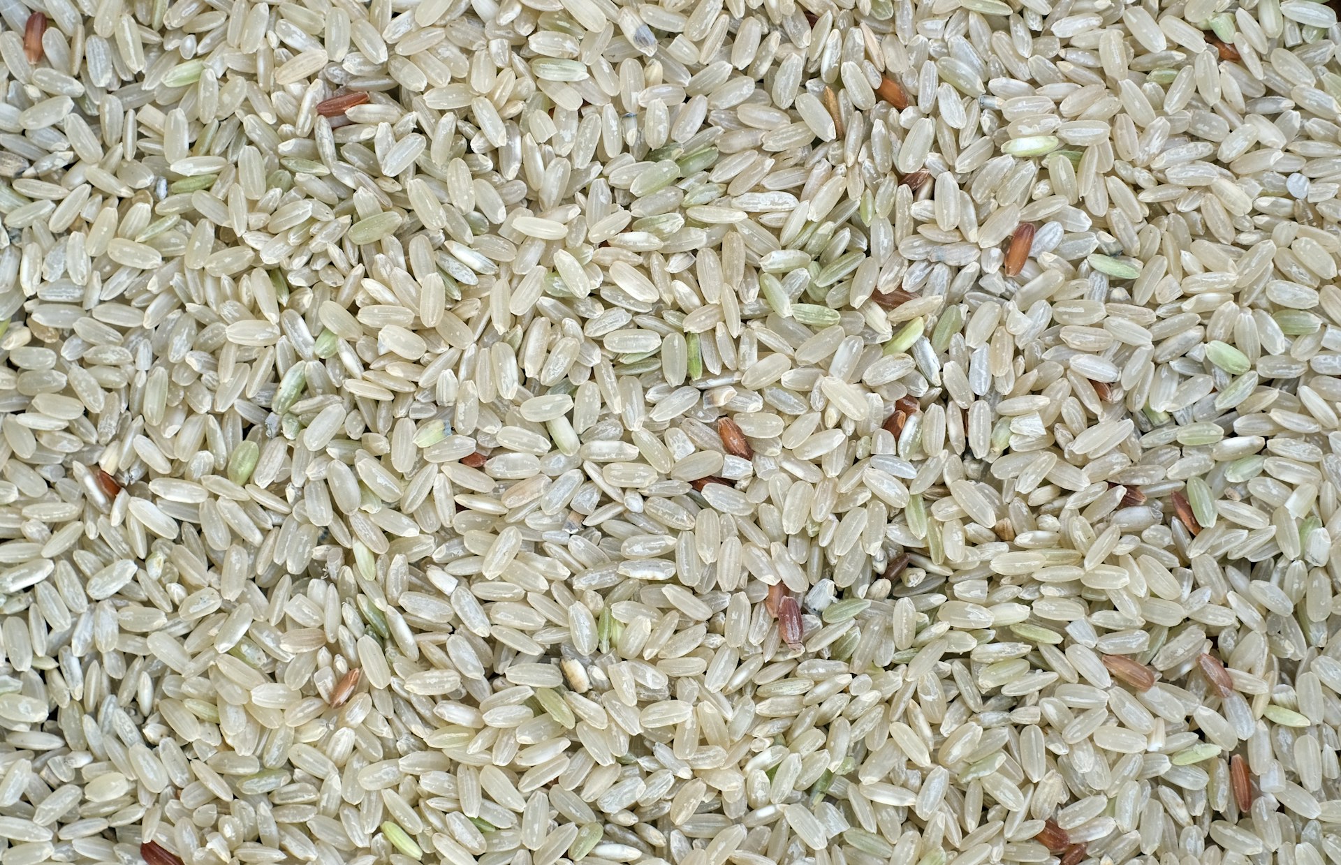 a close up of a pile of rice